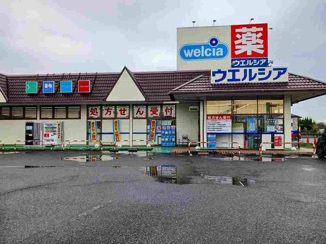 近くのウエルシア太田石原店まで750m（徒歩10分）