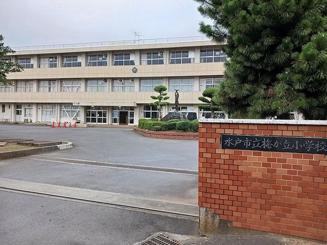 近くの水戸市立梅が丘小学校まで961m（徒歩13分）