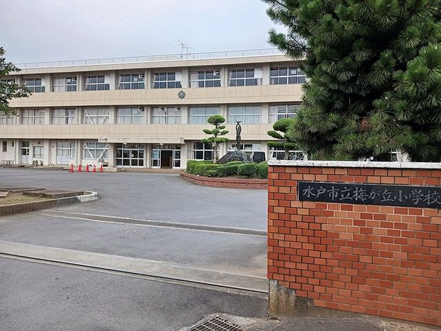 近くの水戸市立梅が丘小学校まで939m(徒歩12分)
