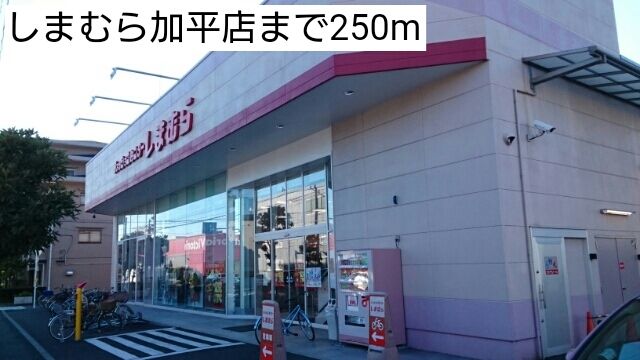 近くのしまむら加平店まで250m（徒歩4分）