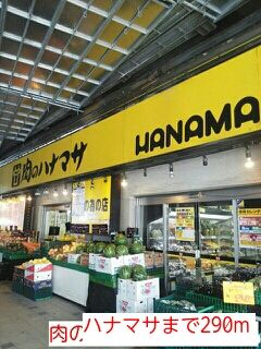 近くのハナマサまで290m（徒歩4分）