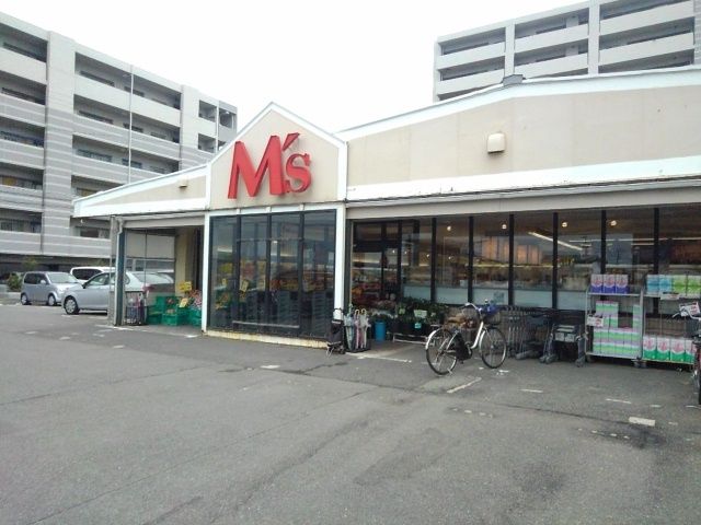 近くのエムズまで750m（徒歩10分）