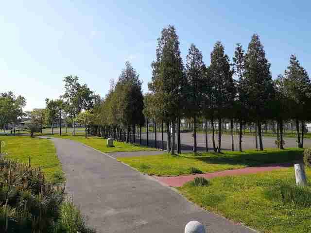 近くの札苗東公園まで260m（徒歩4分）