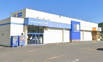 近くの薬王堂南部町店まで350m(徒歩5分)