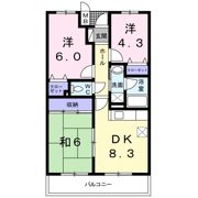 Fontana 久米田の間取り画像