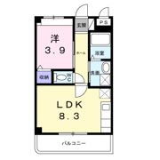 セレーノの間取り画像