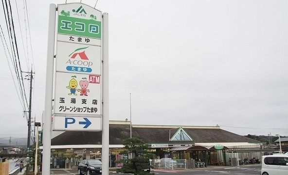 近くのエコロたまゆまで650m（徒歩9分）