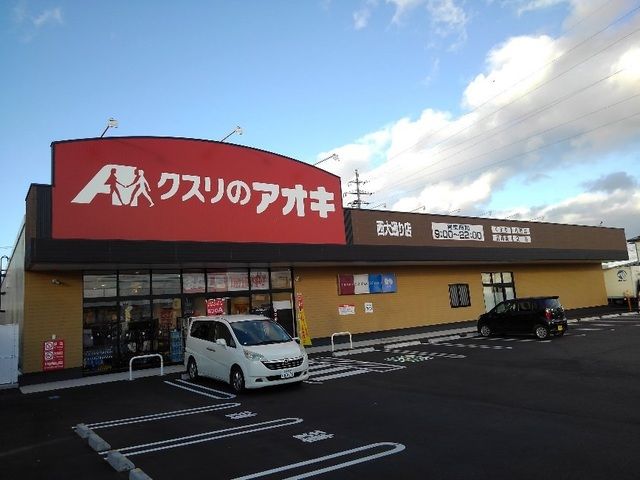 近くのクスリのアオキ西大通り店まで300m（徒歩4分）