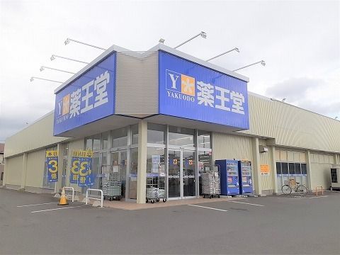 近くの薬王堂 北上黒沢尻店まで900m(徒歩12分)