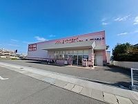 近くのひまわり多肥店さんまで1,100m（徒歩14分）