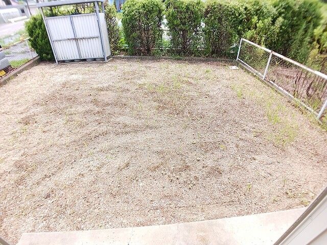 庭