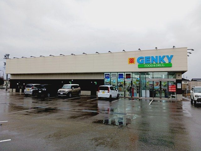 近くのゲンキー一条南小学校北店まで700m（徒歩9分）