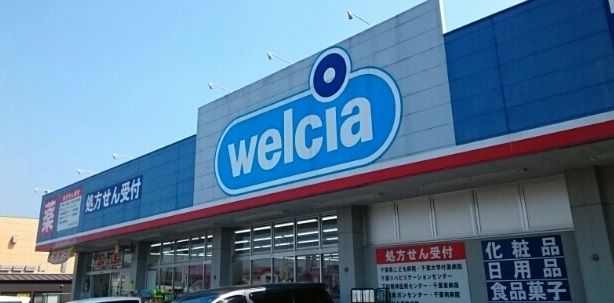 近くのウエルシアまで800m(徒歩10分)