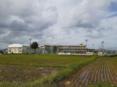 近くの新開小学校まで800m(徒歩10分)