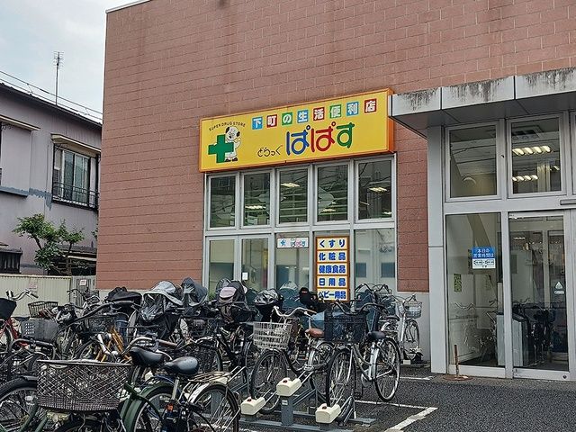 近くのどらっくぱぱすまで511m(徒歩7分)