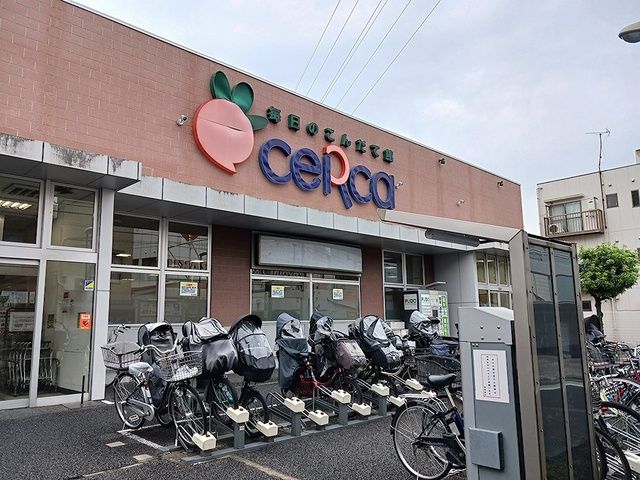 近くのceRcaまで511m(徒歩7分)