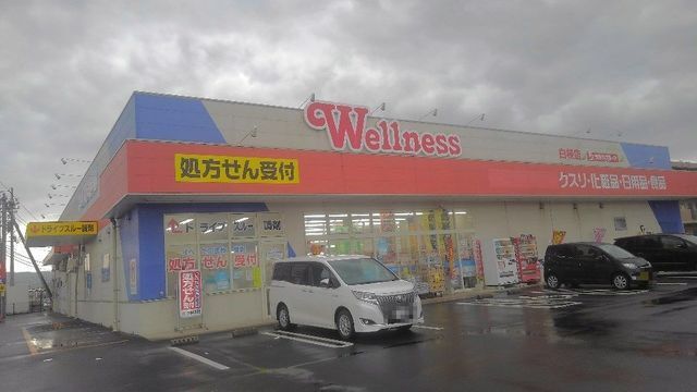 近くのウェルネス 白枝店まで1,200m(徒歩15分)