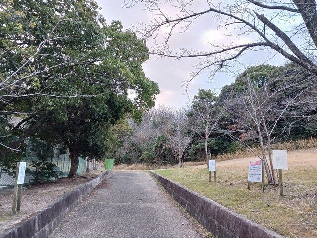 近くの愛の緑公園まで503m（徒歩7分）