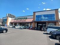 近くのグランデリーズ太田店さんまで850m(徒歩11分)