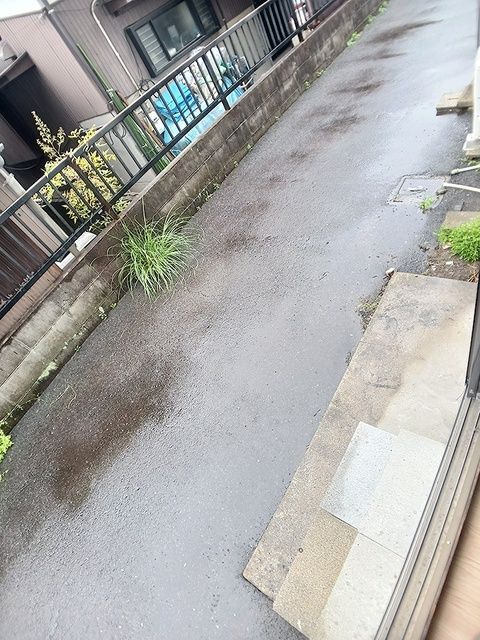 庭