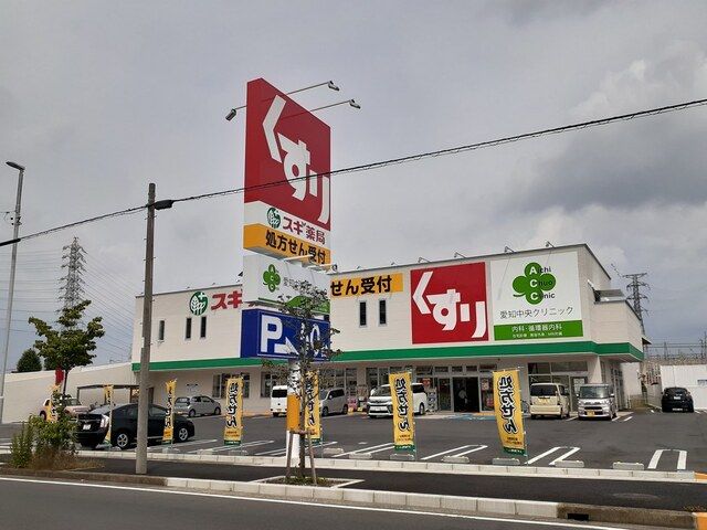 近くのスギドラッグまで750m（徒歩10分）