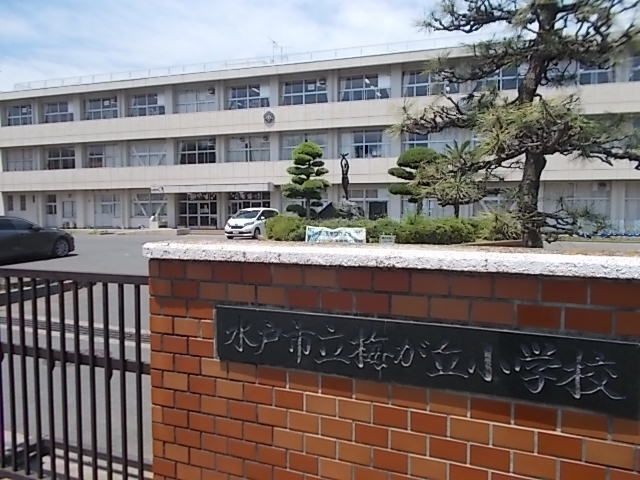 近くの水戸市立梅が丘小学校まで400m(徒歩5分)