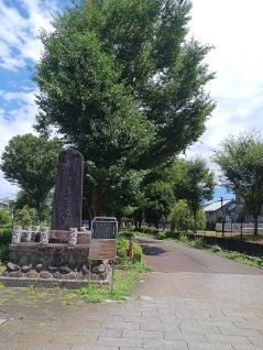 近くの公園まで100m(徒歩2分)