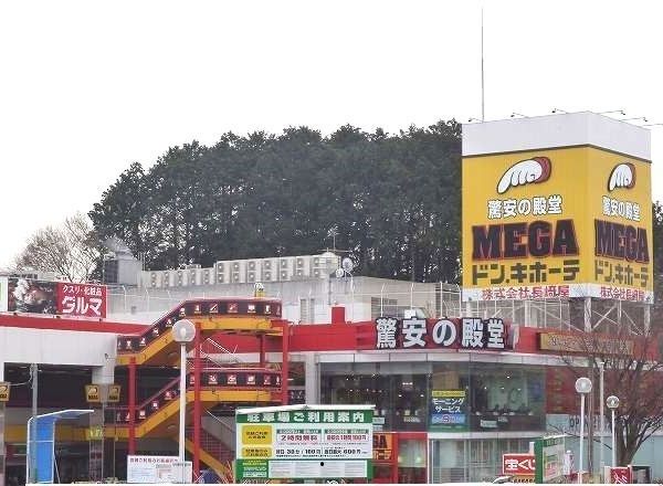近くのMEGAドン・キホーテ台原店まで1,100m(徒歩14分)