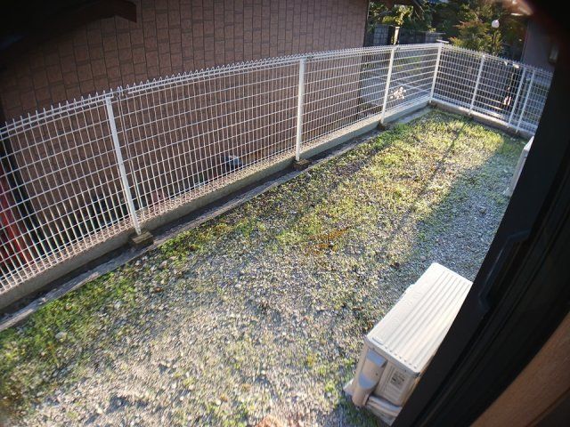 庭