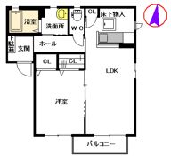 メゾンYの間取り画像