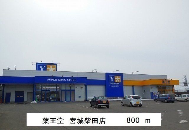 近くの薬王堂まで800m（徒歩10分）
