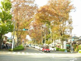 近くの陵南公園まで469m（徒歩6分）