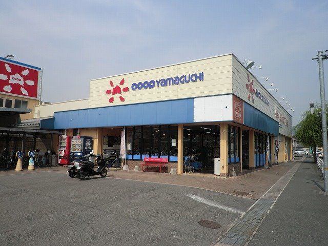 近くのコープここと いずみ店まで300m（徒歩4分）
