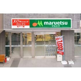 近くのマルエツ岩槻駅前店まで518m(徒歩7分)