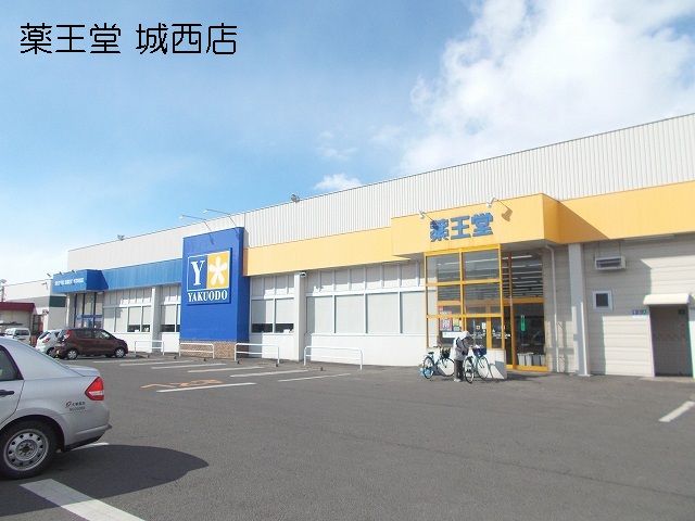 近くのドラッグストアまで210m（徒歩3分）