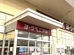 近くのヨークベニマル新田東2丁目店まで700m(徒歩9分)