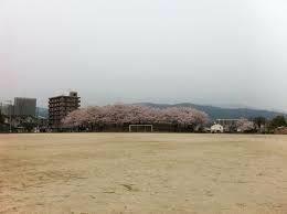 近くの安徳公園まで613m(徒歩8分)
