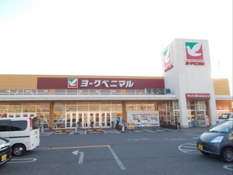 近くのヨークベニマル土浦真鍋店まで950m（徒歩12分）