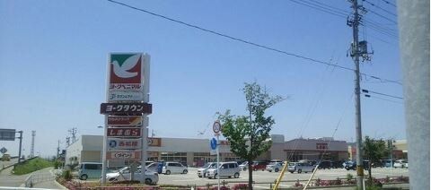 近くのヨークタウン南陽まで1,487m（徒歩19分）