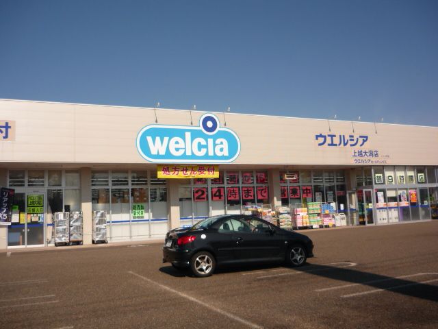 近くのウェルシア 上越大潟店まで140m(徒歩2分)
