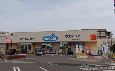 近くのウエルシア　堺上野芝店まで734m（徒歩10分）