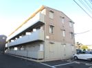 ステラ ルーチェの間取り画像