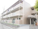 ドムール御願塚の間取り画像