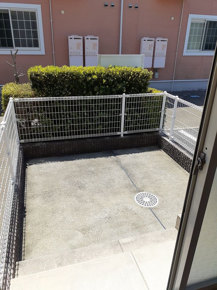 庭