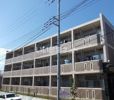 プラシード・パラッツオの間取り画像