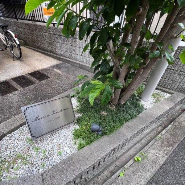庭