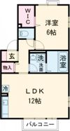 ウィルモアKの間取り画像