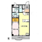 フォルツァ通町の間取り画像