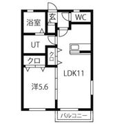 フロンティア泉の間取り画像