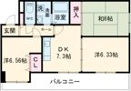 グレース平野の間取り画像